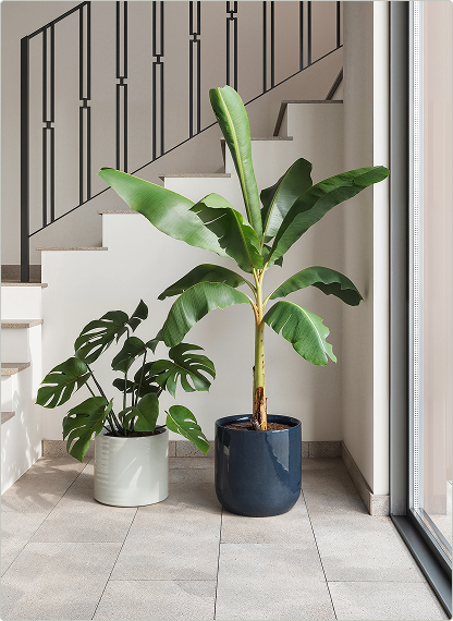 Handmade Ceramics